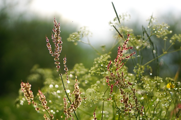 Ajatuksia luonnosnovellien kirjoittamisesta