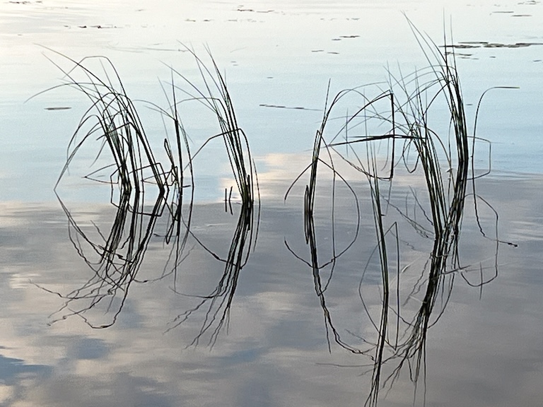 Kirjoja lukevat ihmiset