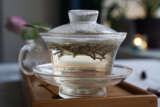 Kuva valkoisista kärkisilmuista, jotka hautuvat lasisessa gaiwanissa