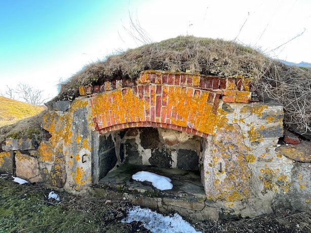 Valokuva keltaisesta sammaleesta Suomenlinnassa