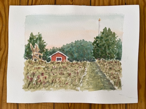 Akvarellimaalaus kesäisestä niitystä ja punaisesta aitasta