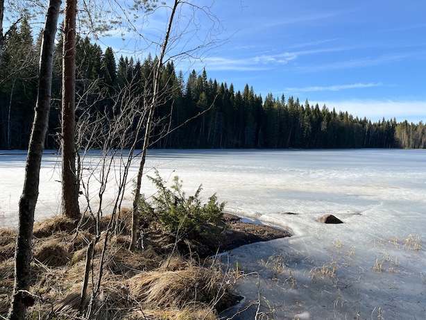 Valokuva keväisestä järvestä, jota vielä peittää jää aurinkoisena päivänä