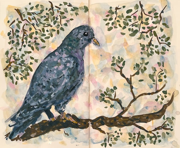 Maalaus kyyhkystä oksalla