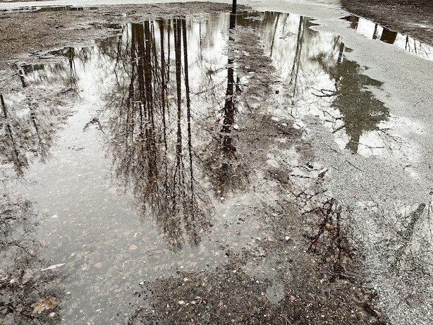 Lätäkkö, johon peilaantuu puiden latvoja ja harmaata taivasta.