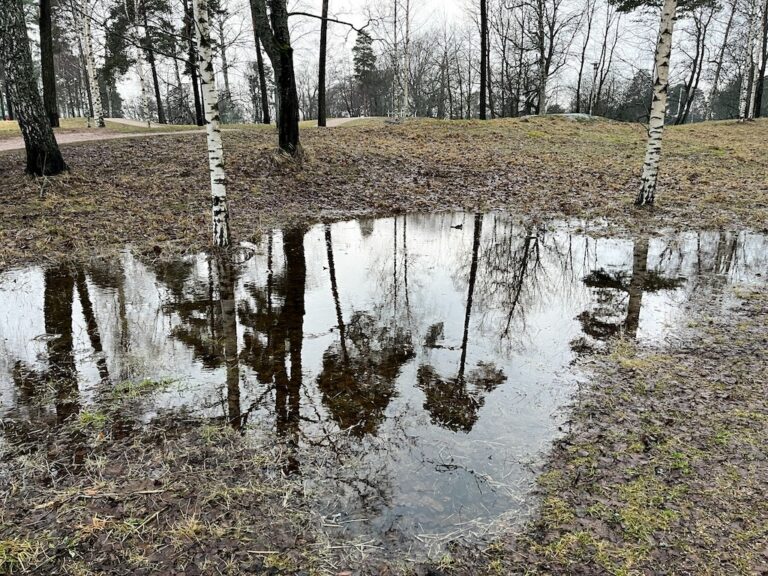 Lue uudestaan: Varjoista ja lätäköistä