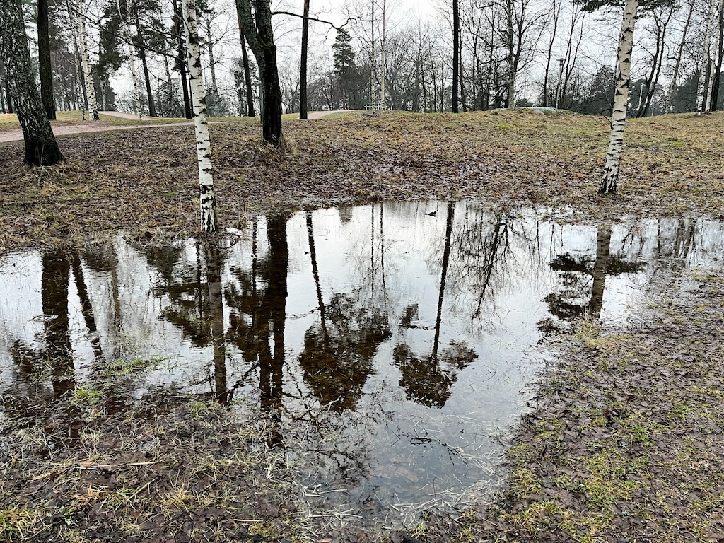 Puistonäkymä, jossa puut ja harmaa taivas heijastuvat suuresta lätäköstä.