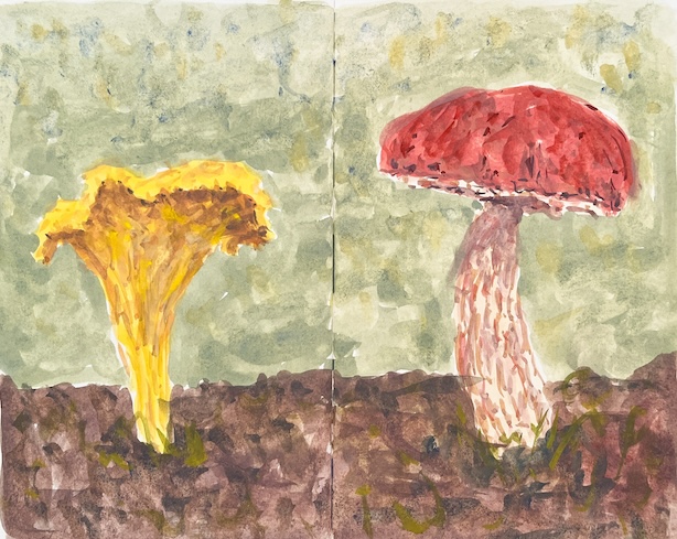 Luonnoskirja-aukeama, jolle on maalattu guassikuva kanttarellista ja herkkutatista