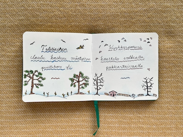 Luonnoskirja-aukeama, jossa kaksi kuvitettua talvista haikua linnuista taivaalla.